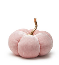 Load image into Gallery viewer, Pink Hues Pumpkin
