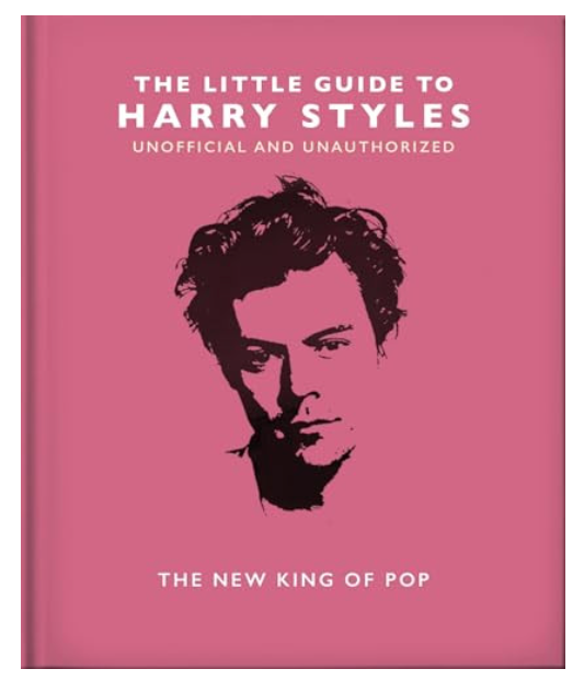 Little Guide to Harry Styles