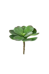 Faux Paddle Plant Succulent