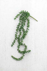 Faux Necklace Fern Succulent